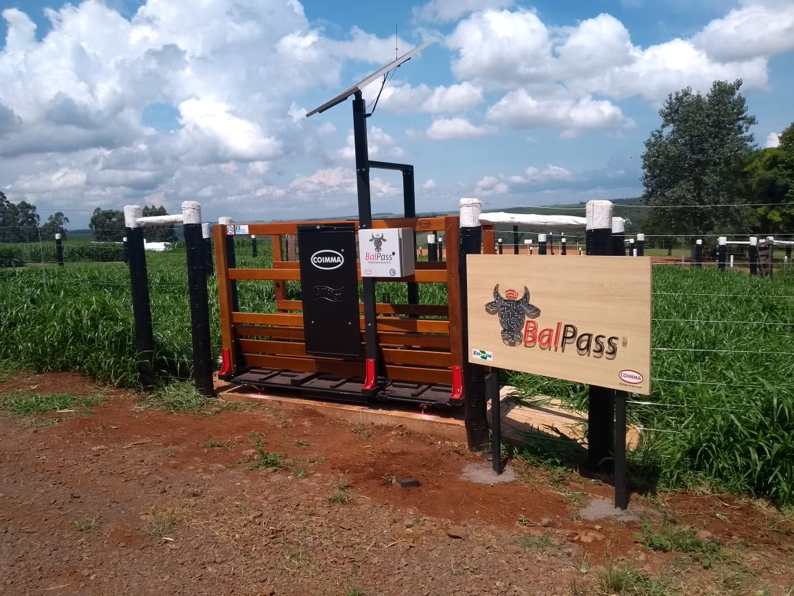 Show Rural Coopavel 2019: Coimma apresenta Balpass